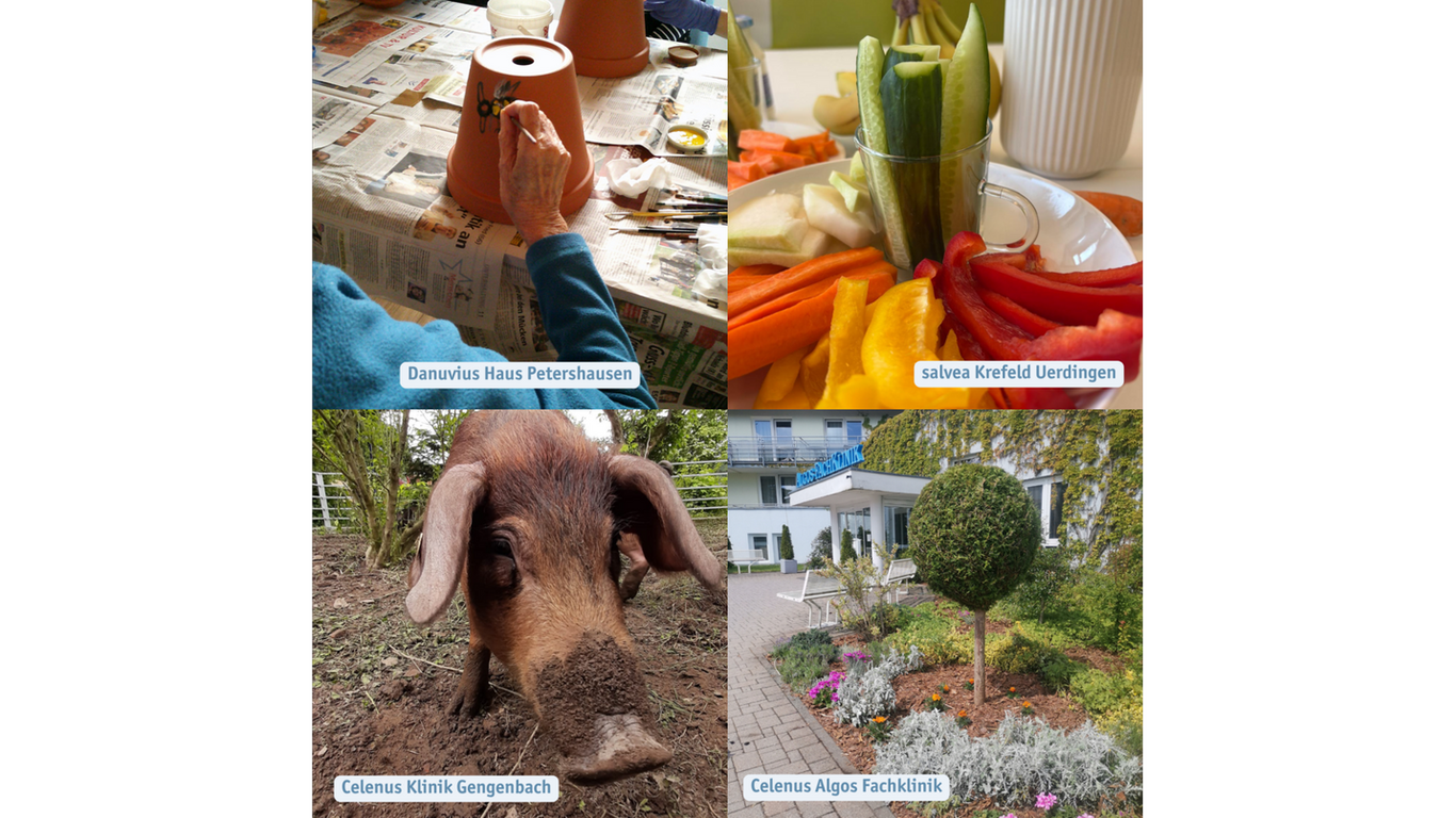 Gewinner der Nachhaltigkeits-Challenge-Woche 2025