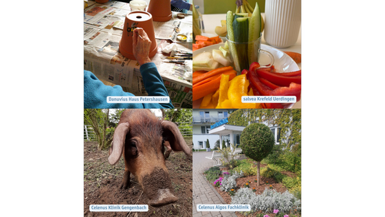 Gewinner der Nachhaltigkeits-Challenge-Woche 2025